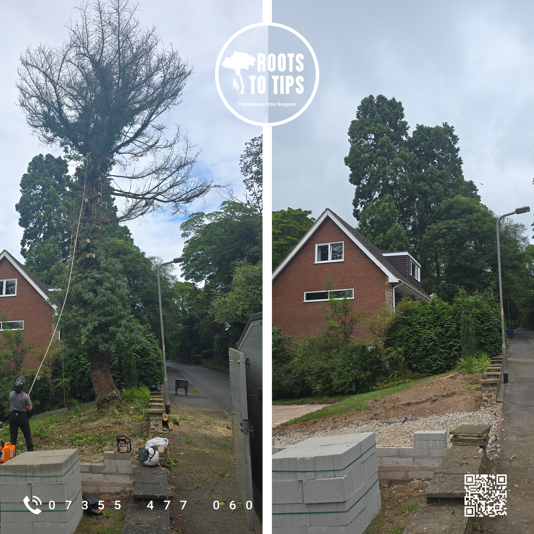 Tree surgery project 3